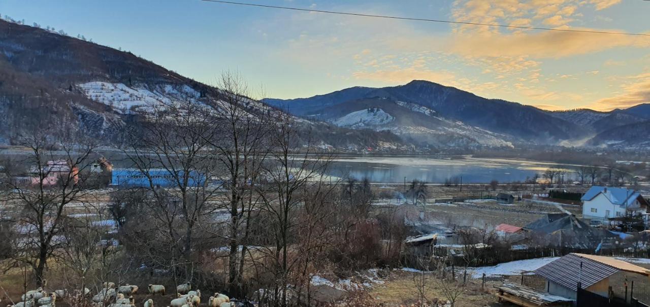 Casa Yla Villa Piatra Neamt Bagian luar foto