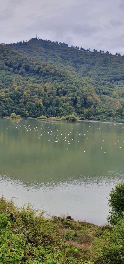 Casa Yla Villa Piatra Neamt Bagian luar foto