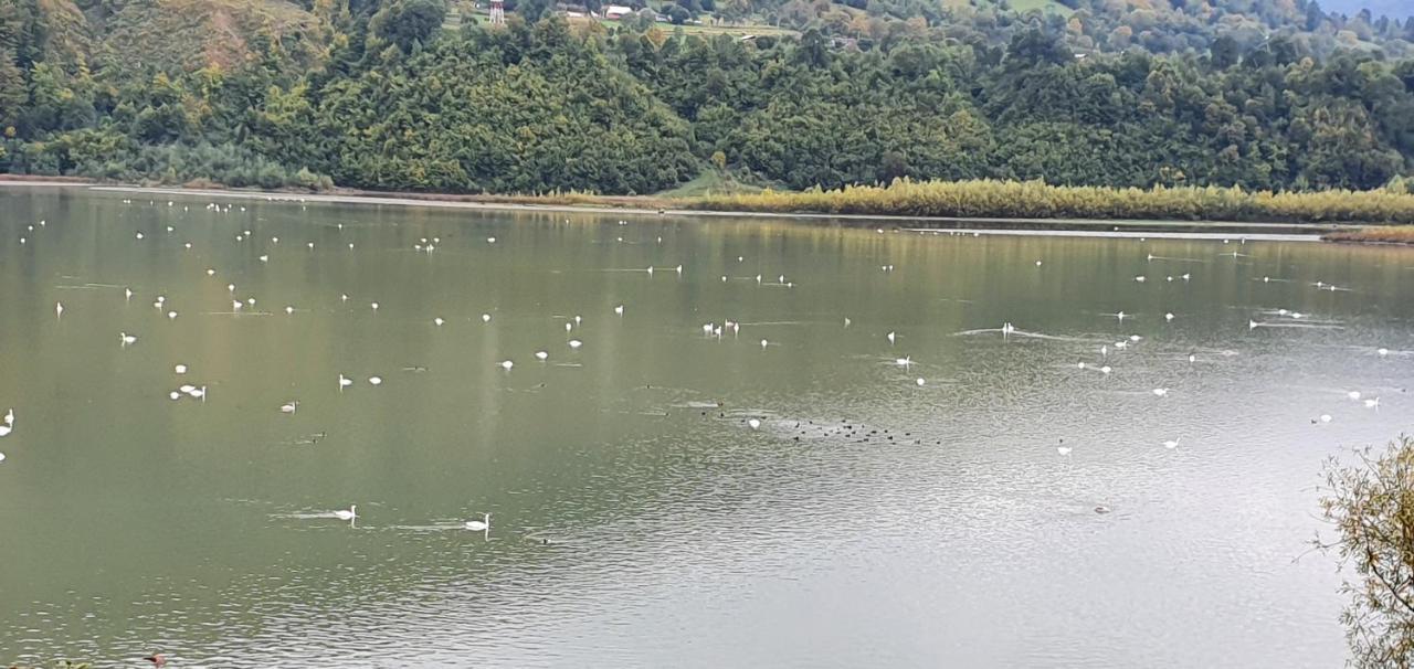 Casa Yla Villa Piatra Neamt Bagian luar foto