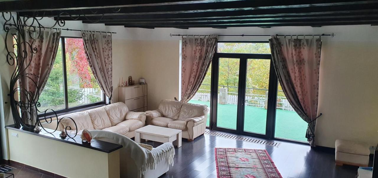 Casa Yla Villa Piatra Neamt Bagian luar foto