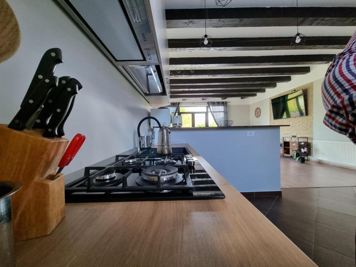 Casa Yla Villa Piatra Neamt Bagian luar foto