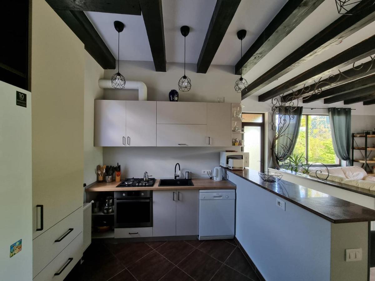 Casa Yla Villa Piatra Neamt Bagian luar foto